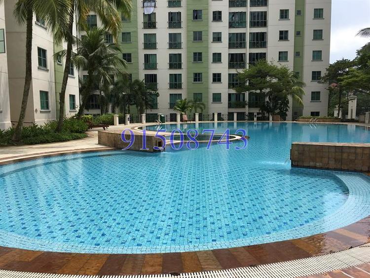 Springdale Condominium (D21), Condominium #172637012